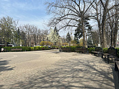 Жительнице Геленджика грозит 20 лет за участие в террористической организации