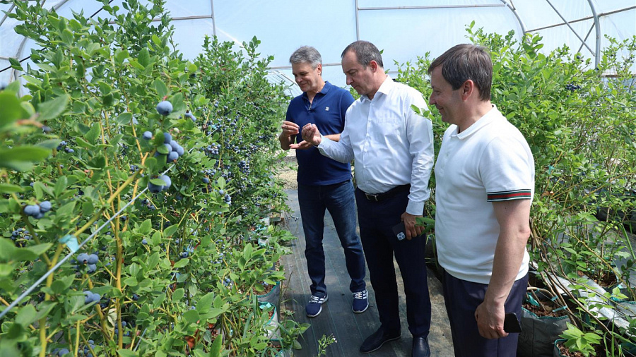 Председатель Заксобрания Кубани Юрий Бурлачко проверил результативность действия закона об органическом земледелии