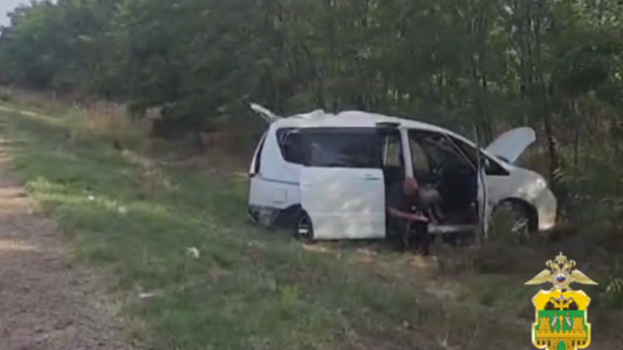 В Павловском районе дедушка и 6-летняя внучка погибли в аварии с грузовиком 