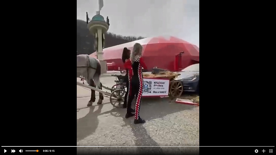 Появилось видео курьезного ДТП с участием «Tesla» и повозки с лошадью в Сочи