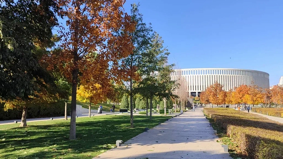 Четыре города Кубани побили рекорды тепла 23 ноября