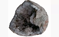 Учёные обнаружили яйца динозавров, но в них были не рептилии 