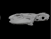 На Кубани ученые нашли останки древнего зубастого монстра