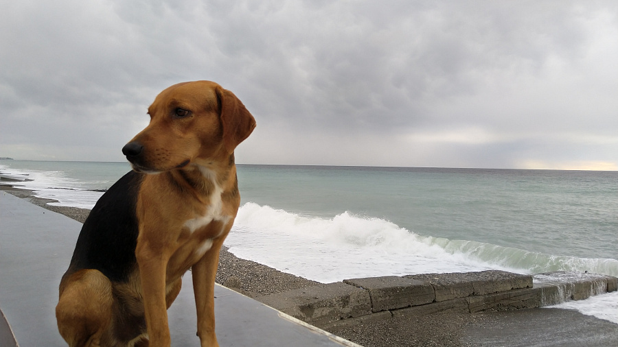 Погода готовит испытание для Причерноморья: синоптики предупреждают о затяжных ливнях