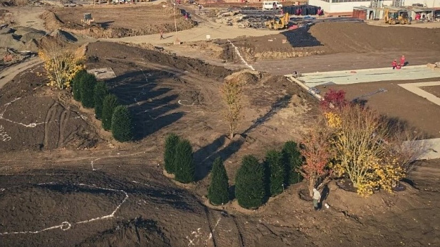 В Сети появились фотографии высадки деревьев в новой очереди парка «Краснодар» 