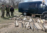 Восемь жителей Приморско-Ахтарского района незаконно выловили рыбу более чем на 7,4 млн рублей 
