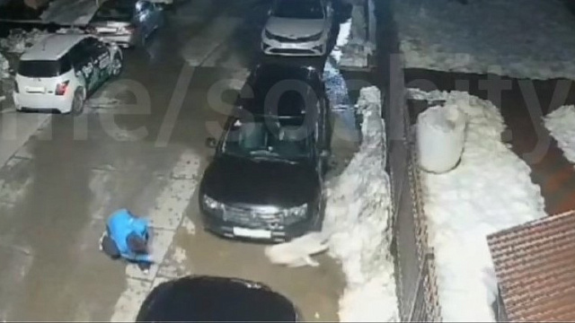 Полицейские проведут проверку после нападения мужчины с молотком на собаку в Сочи