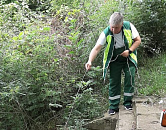 Сотрудники Росприроднадзора взяли пробы воды в Черном море рядом с Геленджиком из-за участившихся случаев гибели дельфинов