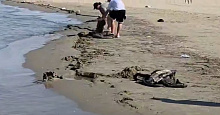 В Анапе за неделю зафиксировали новые выбросы мазута на одном из участков пляжа