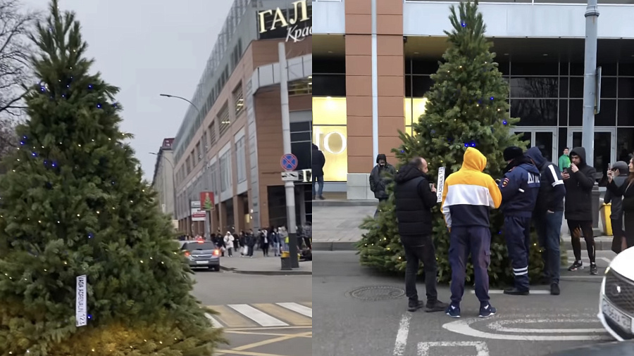 Создатель самоходной елки, проехавшей по центру Краснодара, рассказал, за что сотрудники ГИБДД задержали дерево