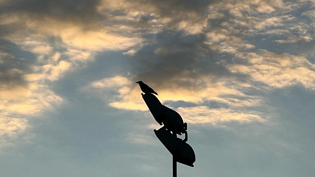 Солнечный ветер ударил по Земле: чем обернётся экстремальная плотность плазмы