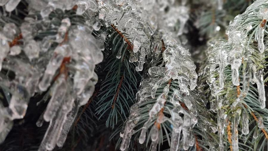 Мокрый снег и гололед накроют Кубань после кратковременного затишья