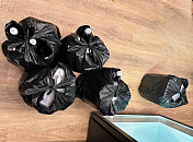 В Сочи бизнесмена оштрафуют на 3 млн рублей за 200 литров паленого вина