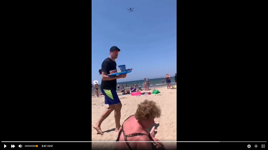 Очевидцы сняли на видео, как дрон прогнал продавца чучхелы с пляжа в Анапе
