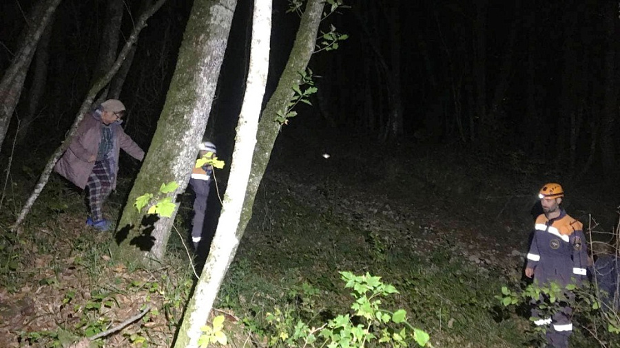 В Сочи вечерняя прогулка двух пожилых женщин по лесу закончилась вызовом спасателей