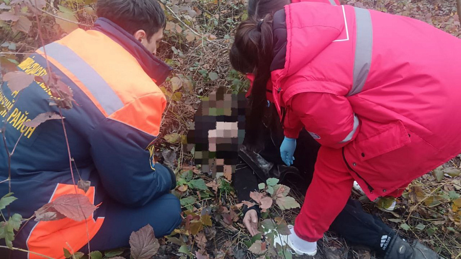 В Новокубанском районе дерево рухнуло прямо на человека во время сильного ветра