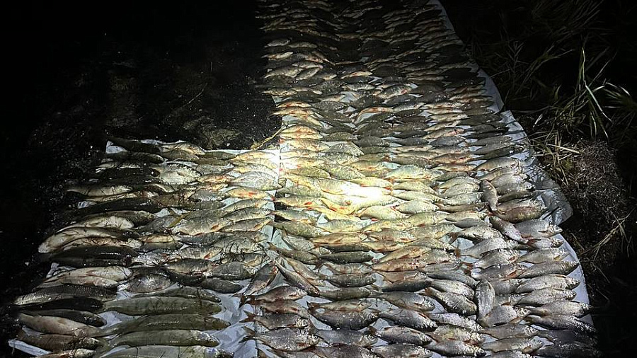 На Кубани мужчина незаконно наловил рыбы почти 400 тысяч рублей