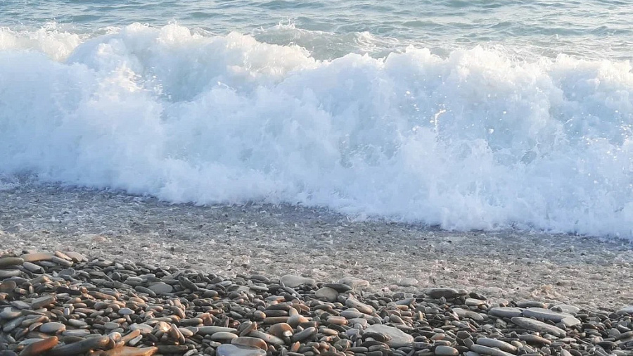 Пляжи и море в Сочи проверили лабораторно
