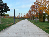 В Сочи исключили запуск фейерверков в новогодние и рождественские праздники