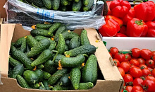 В Краснодаре откроют восемь ярмарок выходного дня с фермерскими товарами