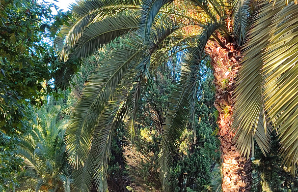 В гостиничном комплексе в Сочи, где отравились юные спортсмены, нашли нарушения 