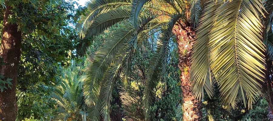 В гостиничном комплексе в Сочи, где отравились юные спортсмены, нашли нарушения 