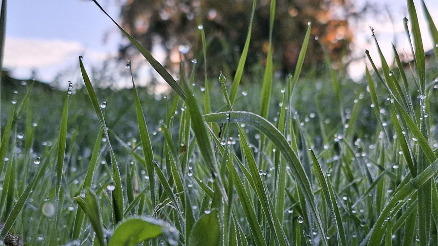 Циклон из Закавказья принес дожди и ограничил температуру в Краснодаре до +14 градусов