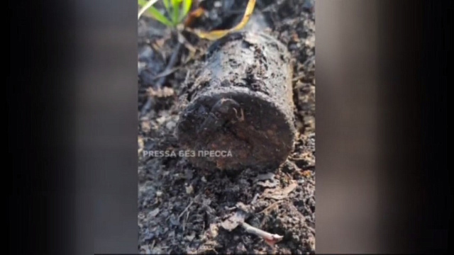 Под Геленджиком оцепили район из-за найденной в лесу гранаты 