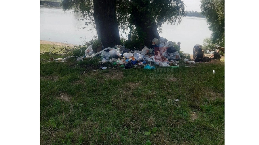 В Сети появились кадры свалки на берегу реки Кубань в Краснодаре