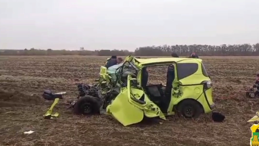 В Крыловском районе двое взрослых и ребенок разбились в аварии с грузовиком