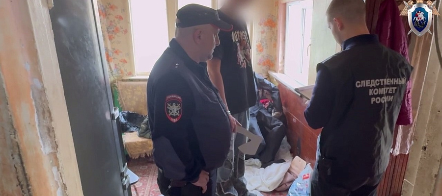 16-летний подросток зарубил бабушку топором в Туапсинском районе