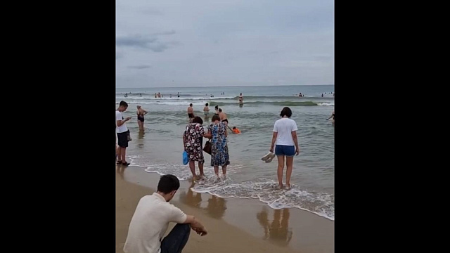 В Анапе блогер показал десятки туристов, купающихся в Черном море, несмотря на запрет. Видео