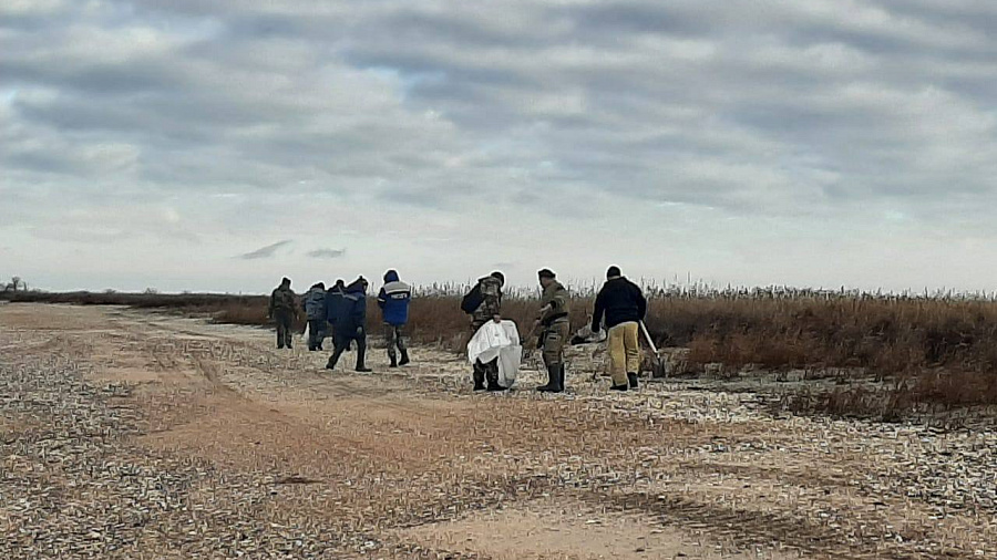 На берегу Азовского моря на Кубани за сутки собрали 130 кг мазута