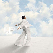 Цветом 2026 года, по версии Pantone, стал «Облачный танцор»