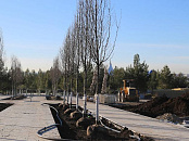 На Кубани установили штрафы для нелегальных таксистов