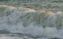 В Сочи по ДНК раскрыли убийство туристки, совершенное в августе 2004 года