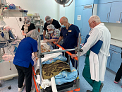 В Краснодаре хирурги спасли пациента с печеночной артерией в 10 раз больше нормы