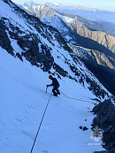 Полиция Горячего Ключа ищет стрелков убивших домашних коз 