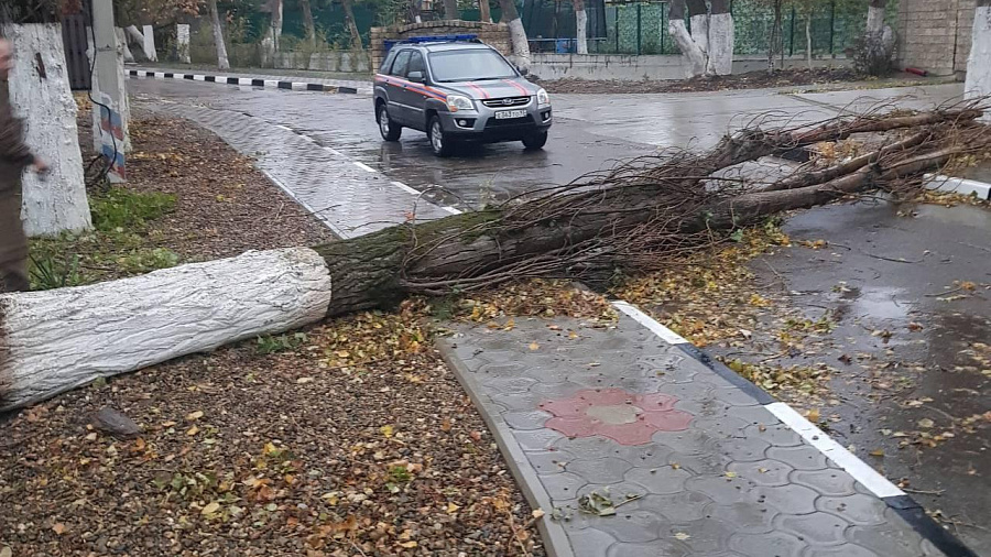 В Новороссийске в сложных погодных условиях ведутся восстановительные работы после мощного циклона