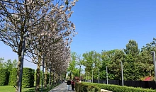 Краснодар ждет туристический бум весной 2026