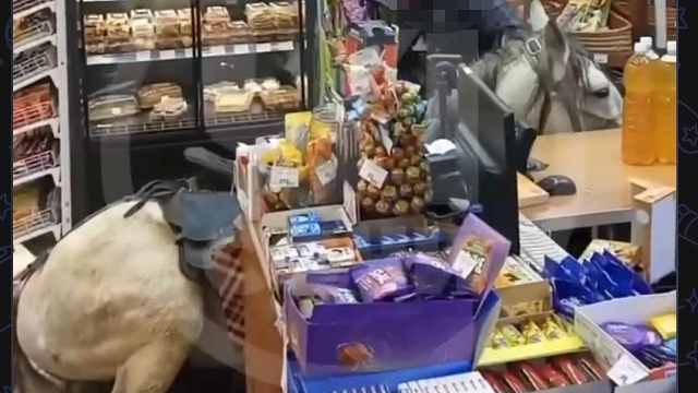 В Сочи мужчина заехал на белом коне прямо в магазин