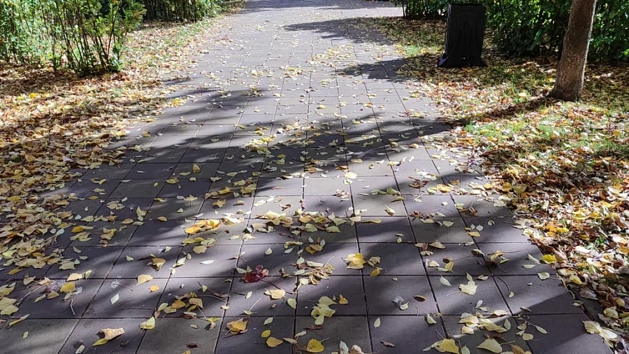 Шесть городов Кубани побили температурные рекорды 30 ноября