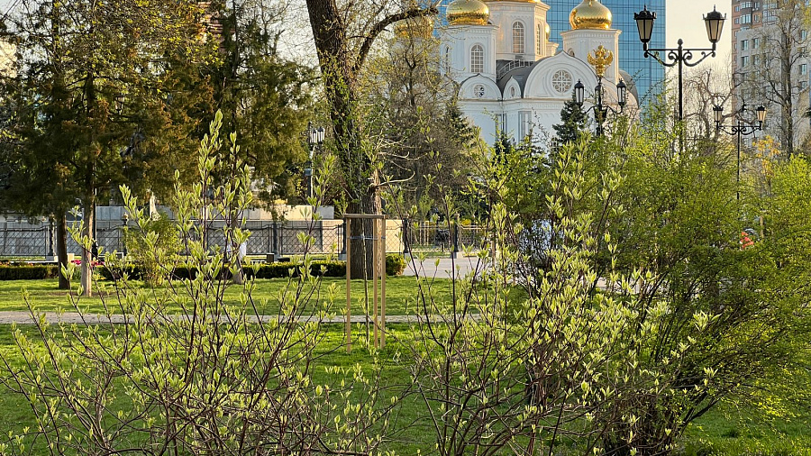 В Краснодаре и крае в воскресный выходной ожидается потепление до +25°С, в отдельных районах – дожди и грозы