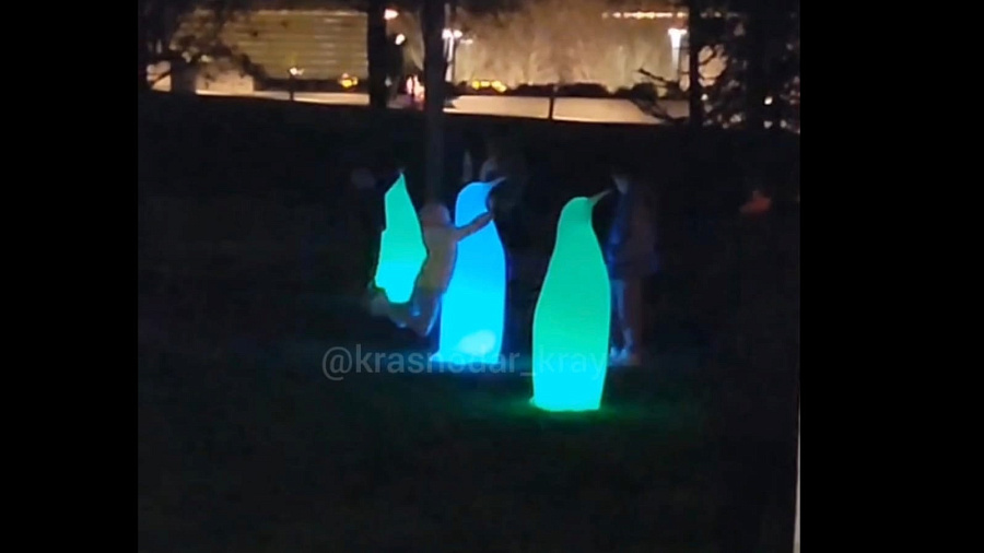 В Краснодаре дети, ломающие фигуры светящихся пингвинов в парке Галицкого, возмутили пользователей Сети
