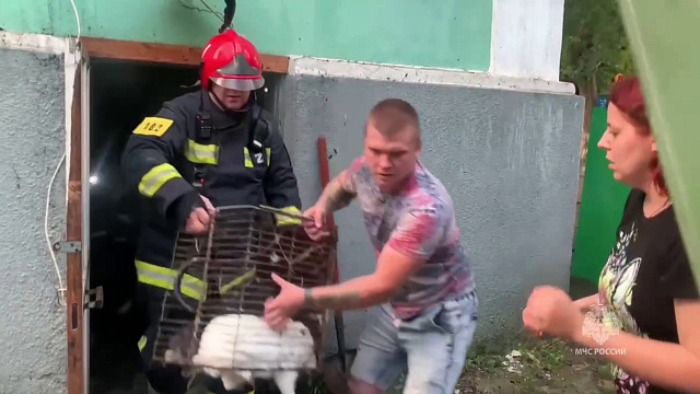 Спасли грызунов, пауков и летучих мышей: в Ростове-на-Дону потушили крупный пожар на территории зоопарка