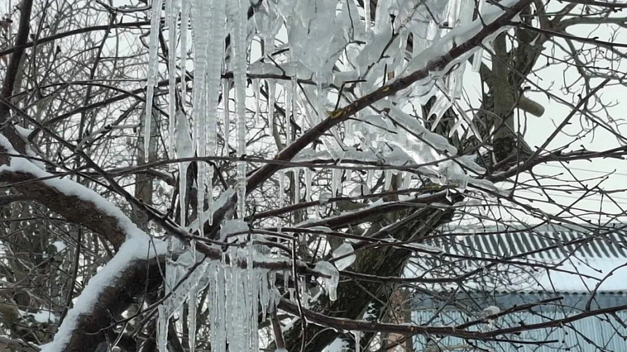 Краснодар замёрзнет до -7 градусов в ночь на 26 декабря