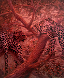 На Кубани открылись свыше 70 зимних пляжей с новыми зонами для отдыха