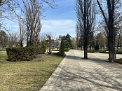 В Краснодаре и крае в субботу погода удивит контрастами: от ночного минуса и тумана до дневного тепла