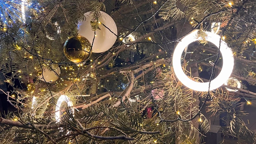 Новый год в пятизвездочных отелях Кубани: цены шокируют туристов