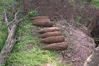  В Гулькевичском районе местный житель обнаружил в лесу более 10 боеприпасов времен ВОВ